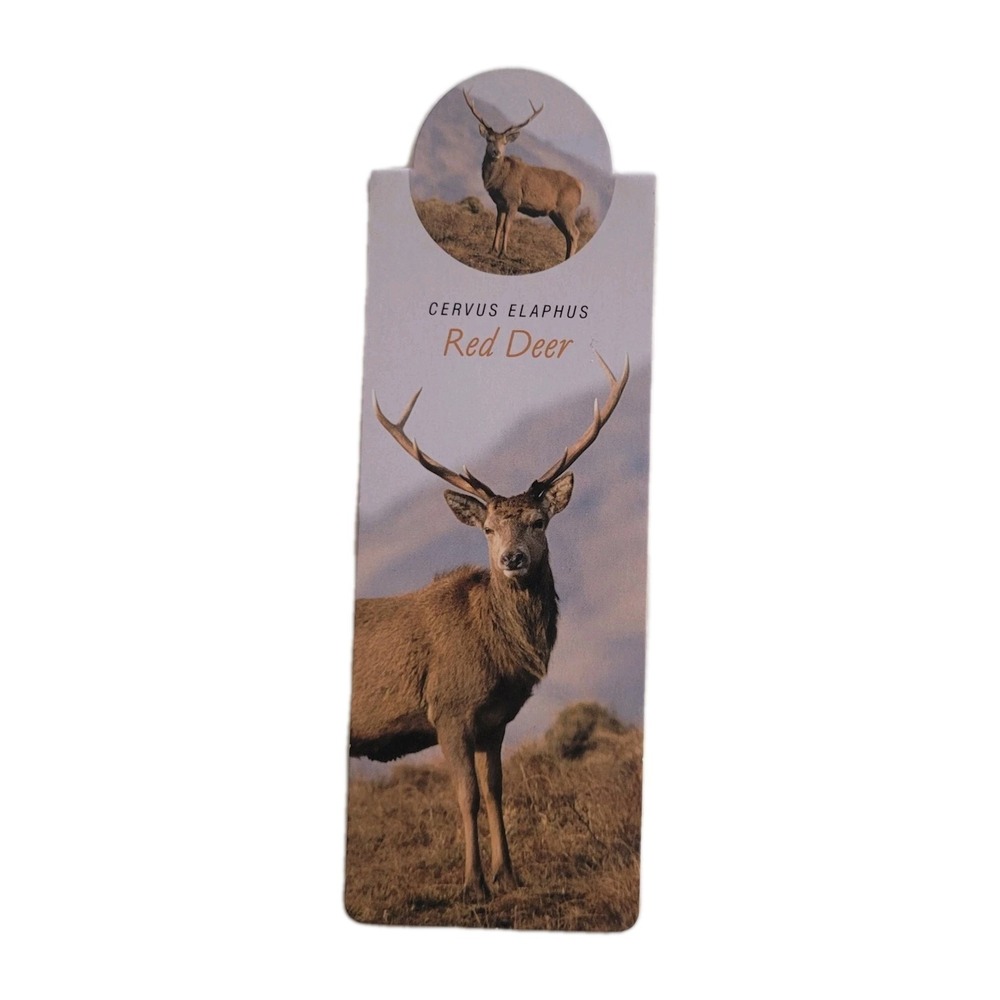Cardmarks Red Deer Wildlife‎ Nature Magnetic Magnet UK Company If #2404, Y2k 00s
